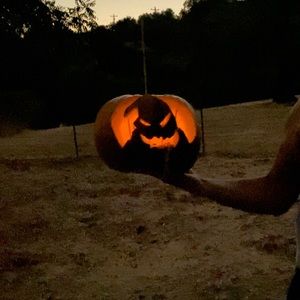 Meet your Posher, Lehi